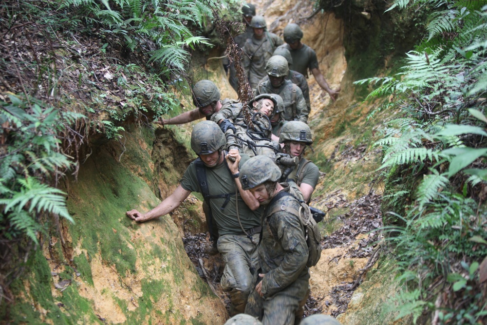 Marines traverse jungle endurance course