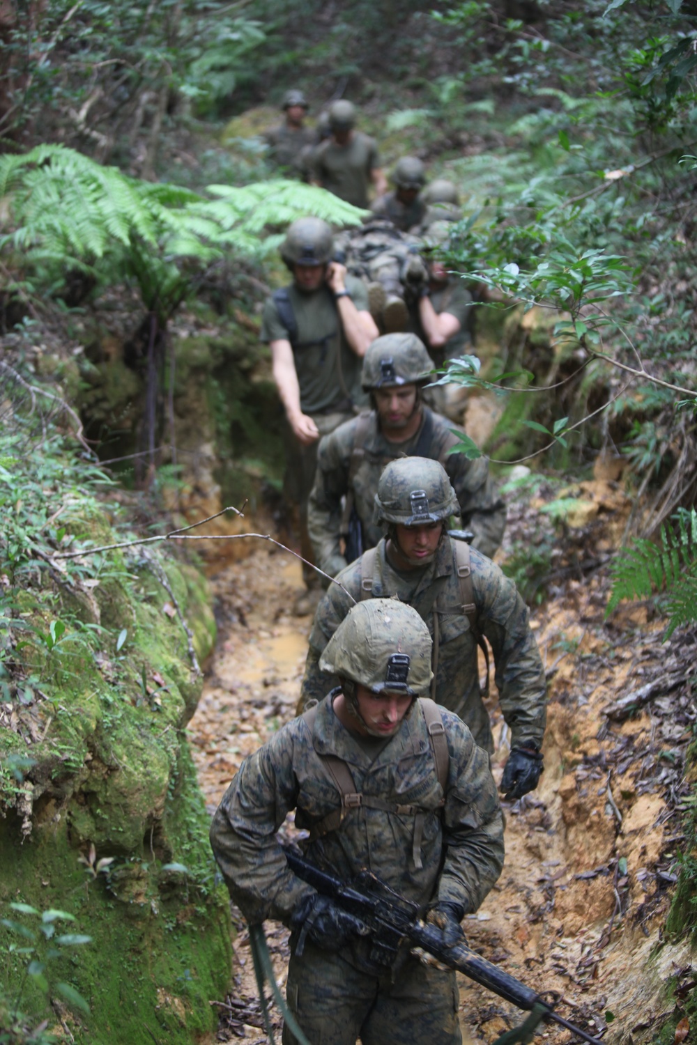 Marines traverse jungle endurance course