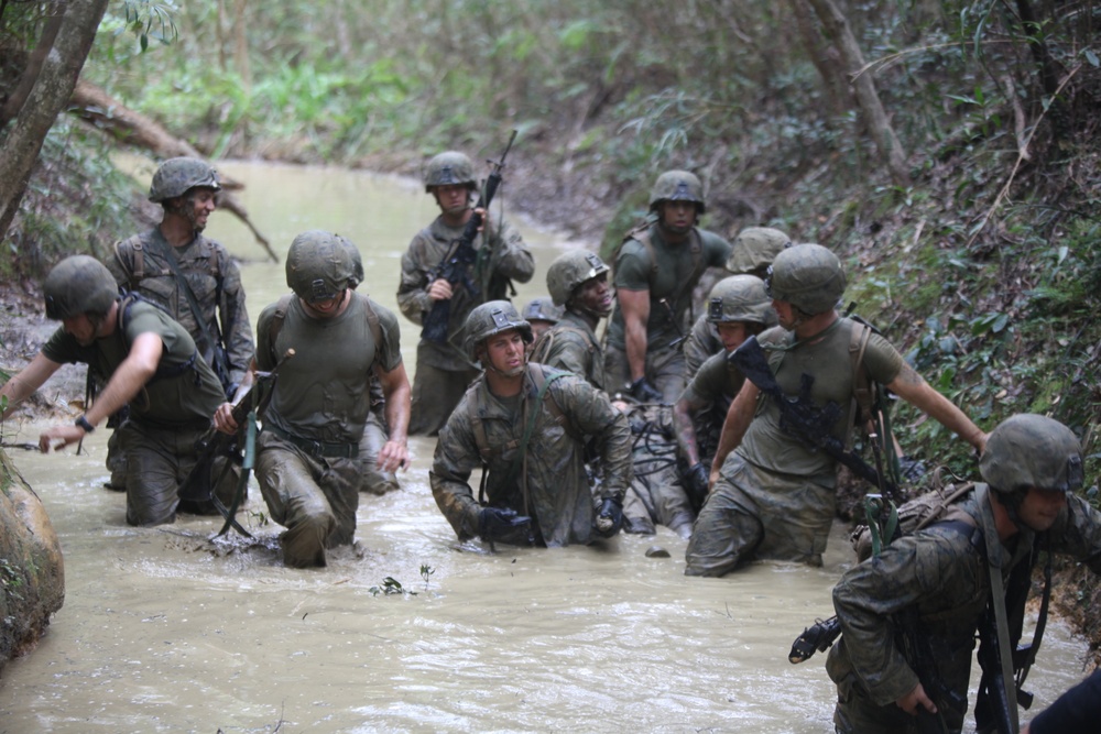 Marines traverse jungle endurance course