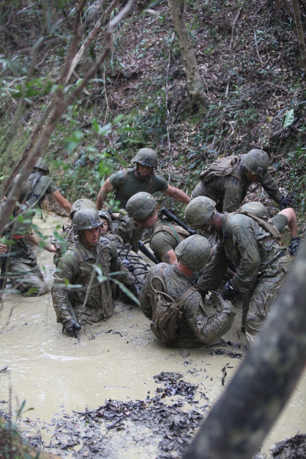 Marines traverse jungle endurance course