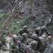 Marines traverse jungle endurance course