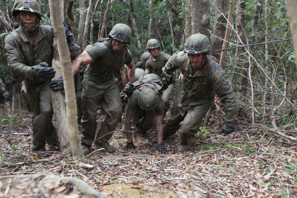 Marines traverse jungle endurance course