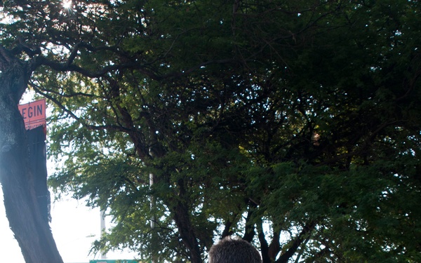 Pearl Harbor water front clean up