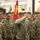 26th MEU Marine Corps Birthday Ceremony