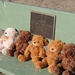 A token of hope in Breezy Point, NY