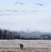 4th BDE (ABN) 25th ID Jumps in Alaska