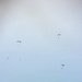 Training sortie