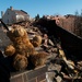 Flood related fires destroy homes in Rockaway, NY