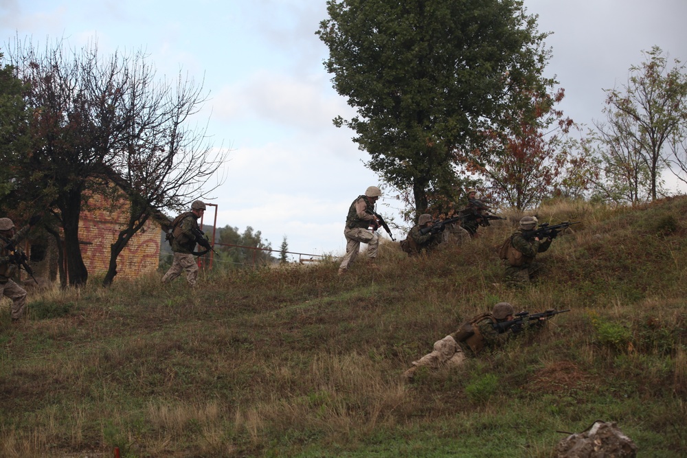 SCTF APS 12 partners with Albanian Military