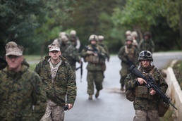 SCTF APS 12 partners with Albanian Military