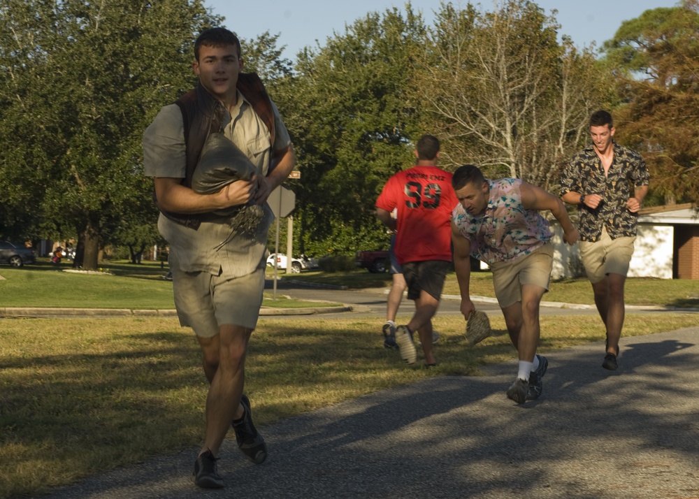 The Carnivore Confidence Course , 1 SOW