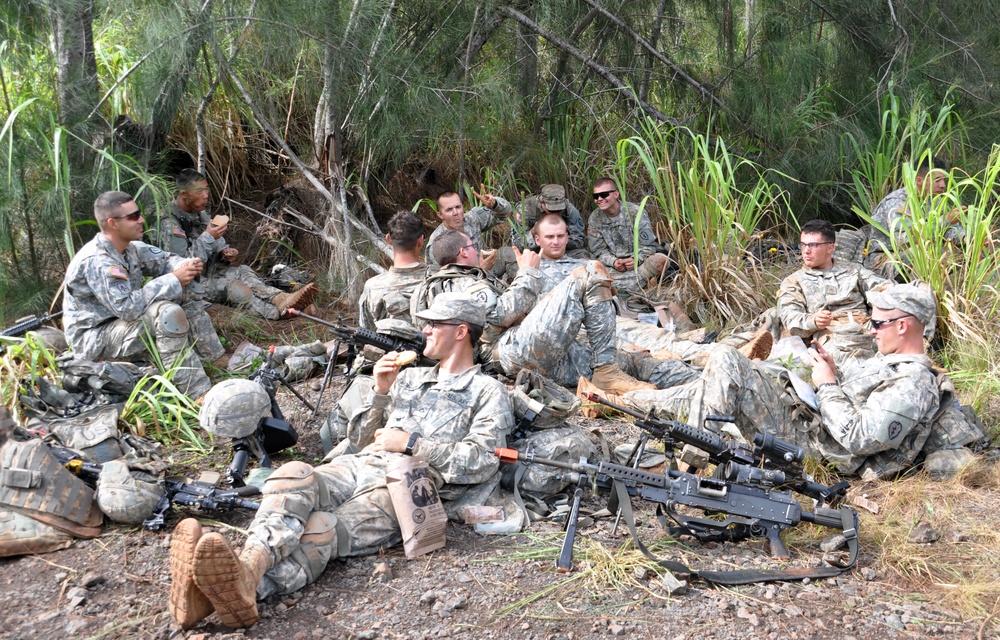 Wolfhound Squad Training