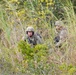 Wolfhound Squad Training