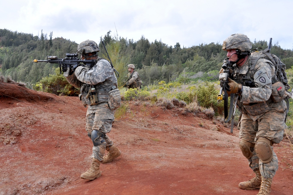 Wolfhound Squad Training