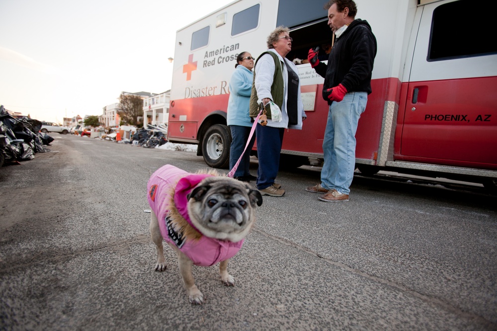 The American Red Cross delivers meals to Hurricane Sandy survivors in the Long Beach vicinity