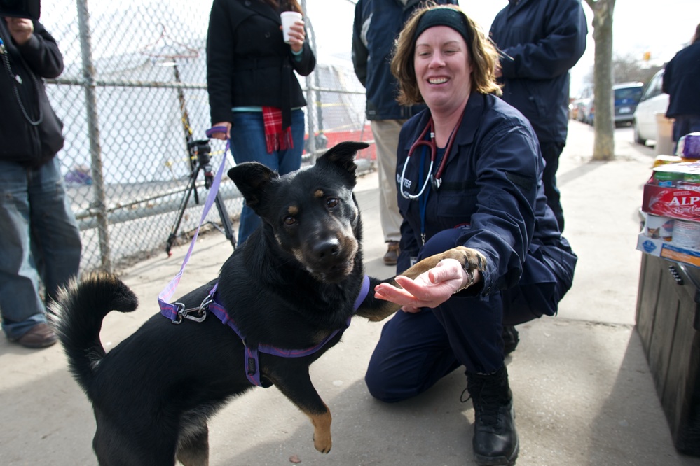 Mobile veterinary services