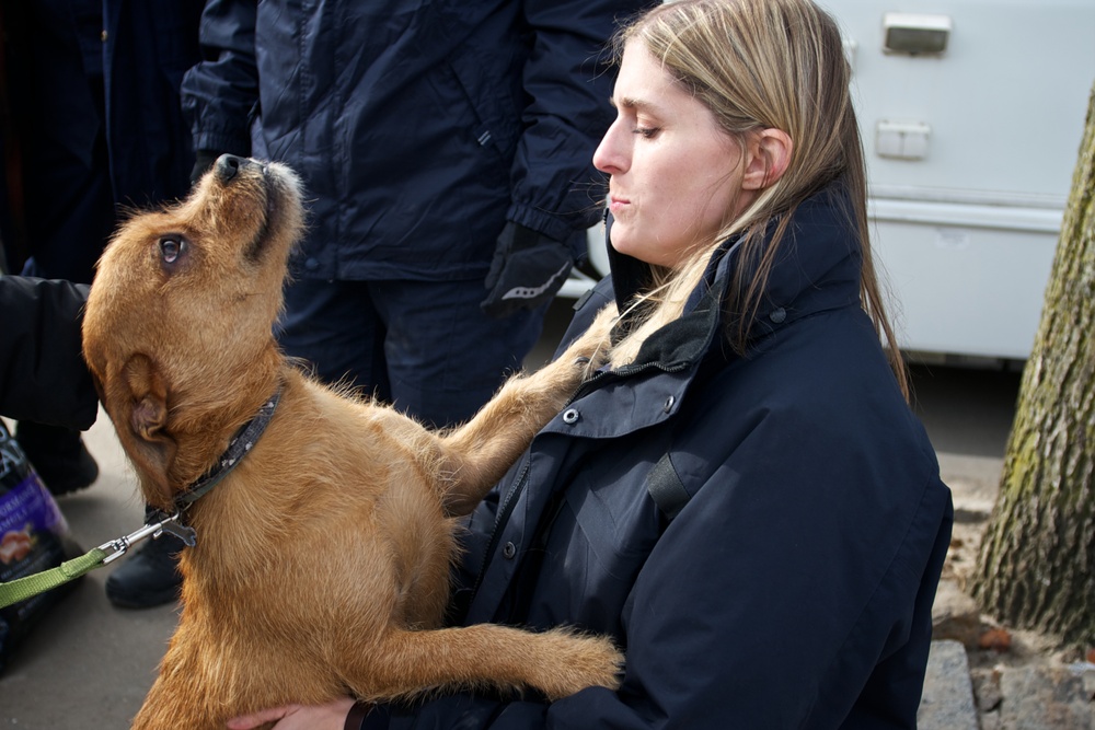Mobile veterinary services