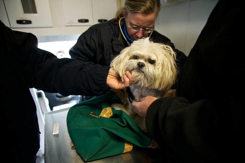 Mobile veterinary services