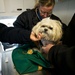 Mobile veterinary services