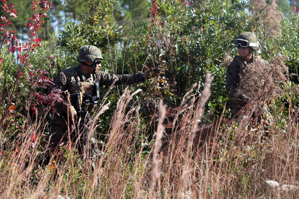 Special-Purpose MAGTF Africa Train for Deployment