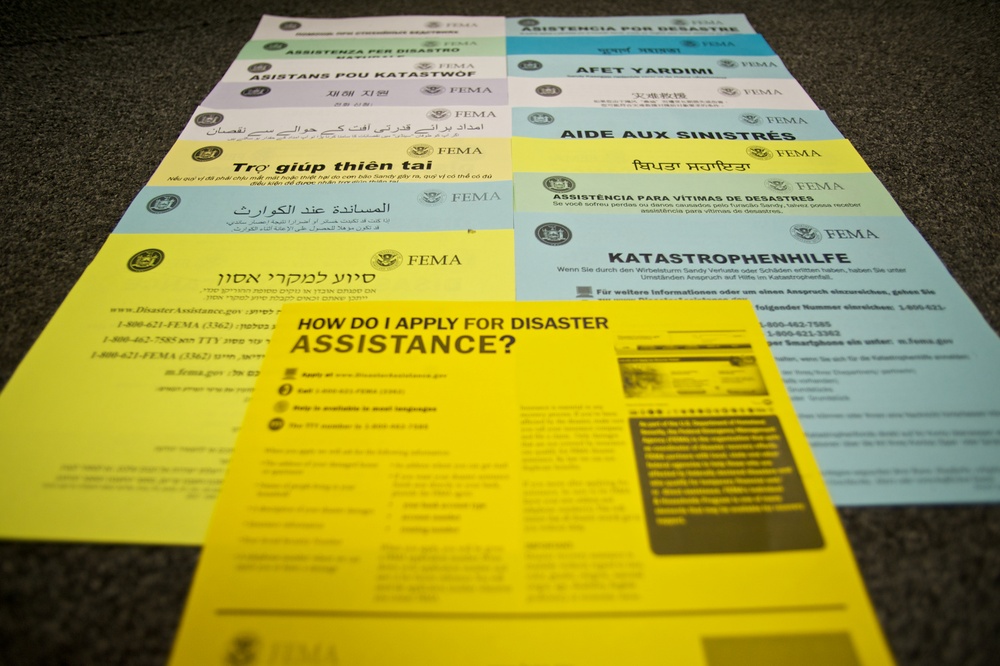 Multilingual Disaster Assistance fliers