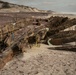 Hurricane Sandy uncovers shipwreck