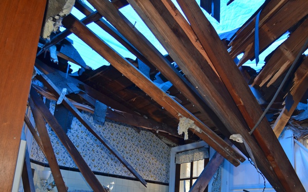 Falling trees during Superstorm Sandy cause major damage to homes