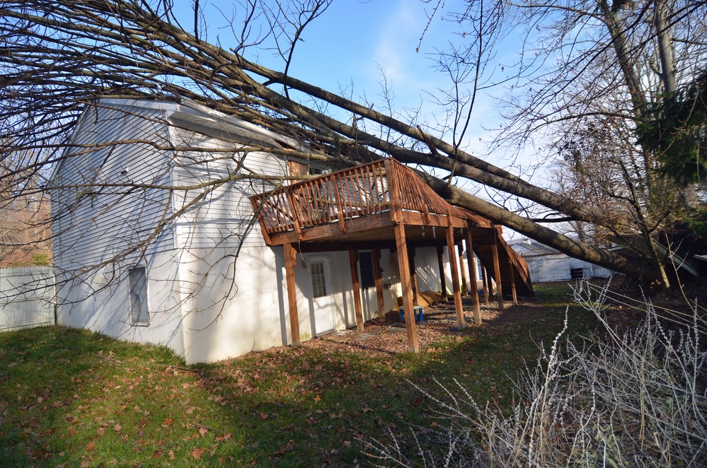 Falling trees cause damage in Sussex County