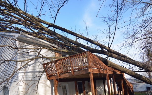 Falling trees cause damage in Sussex County