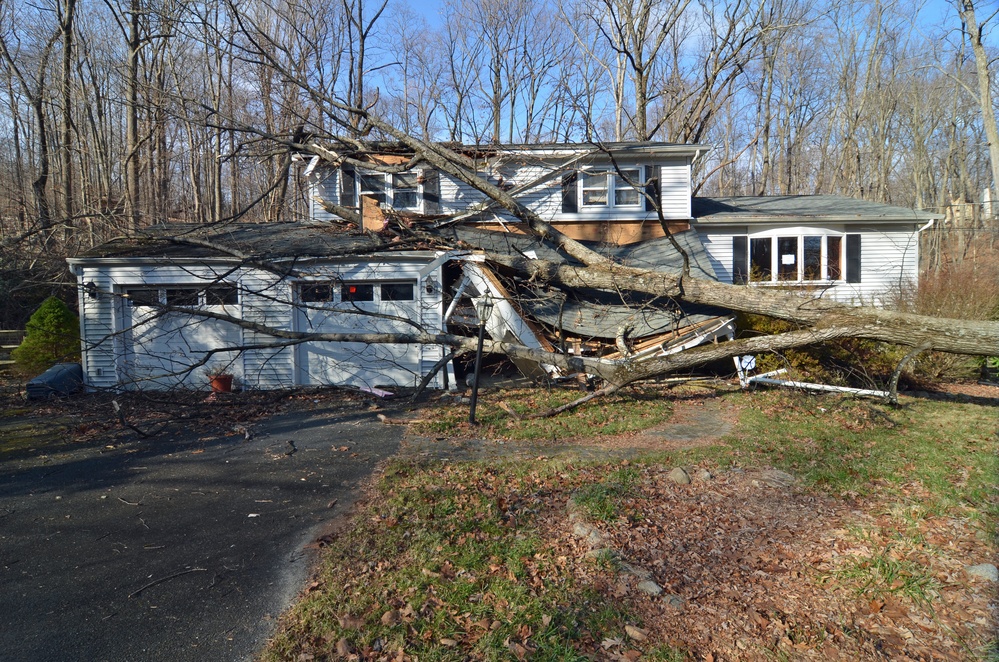 Homes damaged by trees in Sussex County