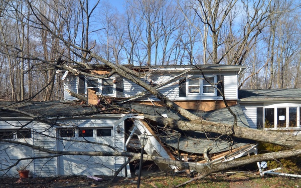 Homes damaged by trees in Sussex County