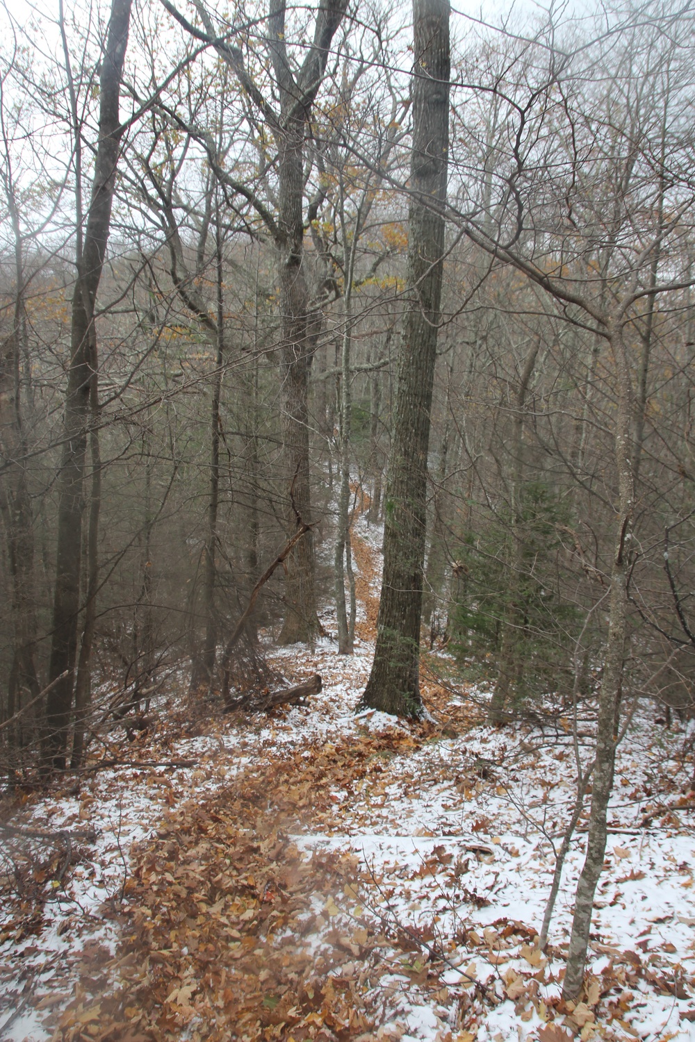Trail across Mount Mitchell, NC
