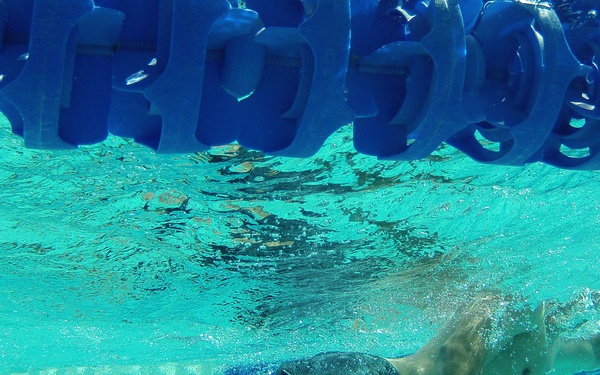 Wounded warriors compete