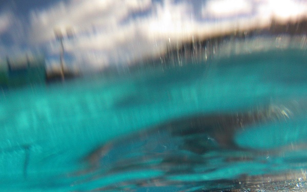 Wounded Warriors compete