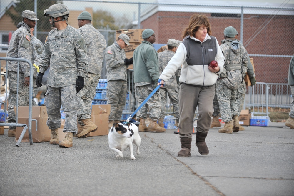 New York National Guard provide relief