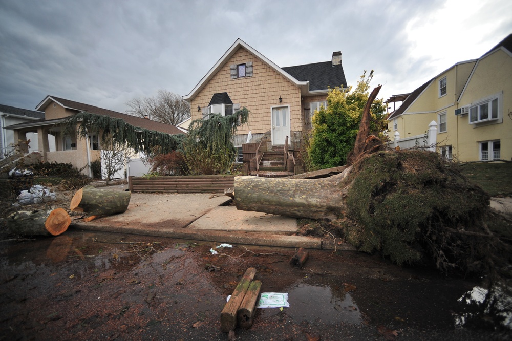 New York National Guard provide relief