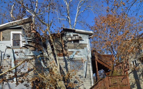 High winds from Hurricane Sandy topple trees
