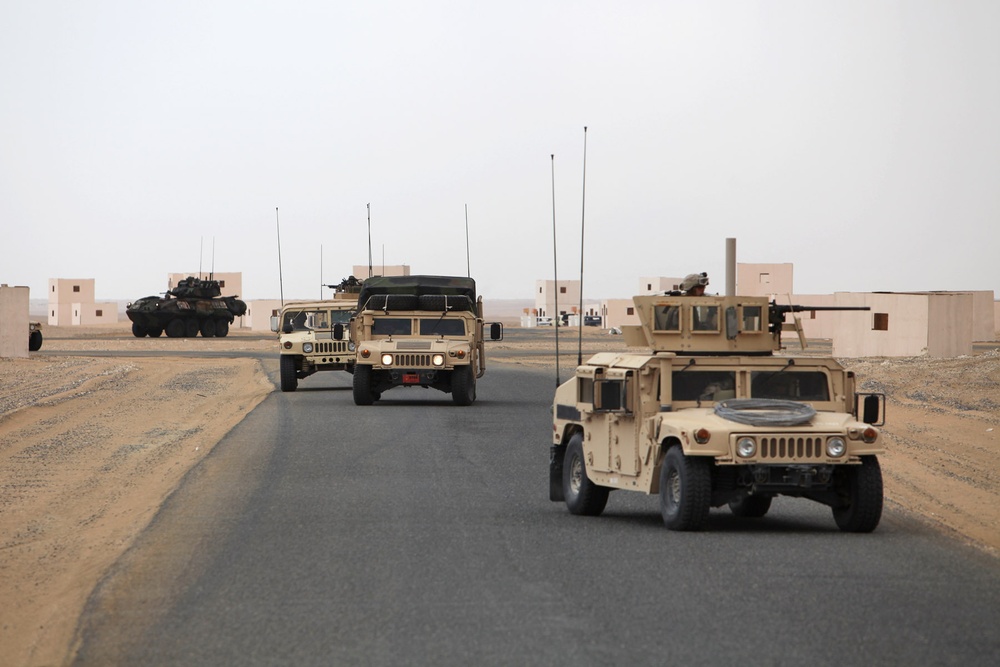 Exercise Eager Mace 13