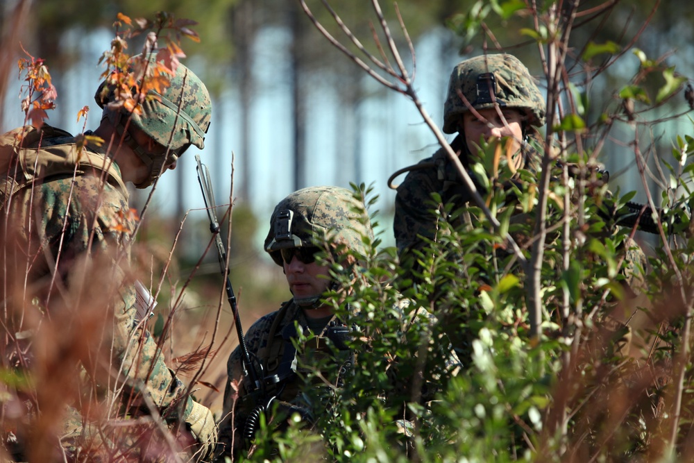 Special-Purpose MAGTF Africa Train for Deployment