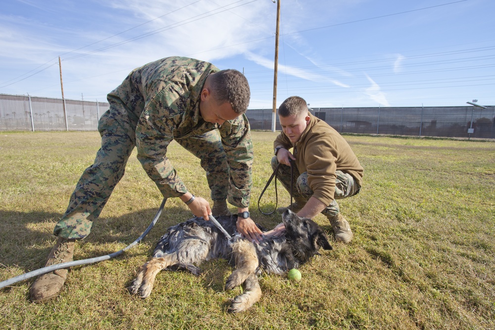 Military working dog bids farewell to working life