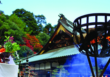 Fire-walking ceremony lights up Miyajima Daisho-in