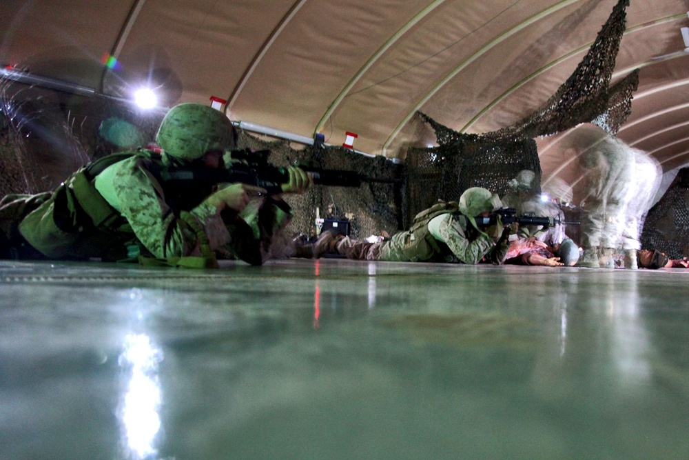 Combat lifesaving skills