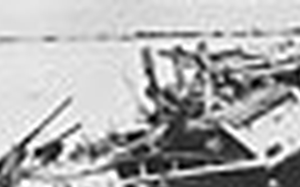 LVT-1 49 ("My Deloris")