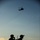 Pararescue in Afghanistan