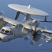 Carrier Airborne Early Warning Squadron 117