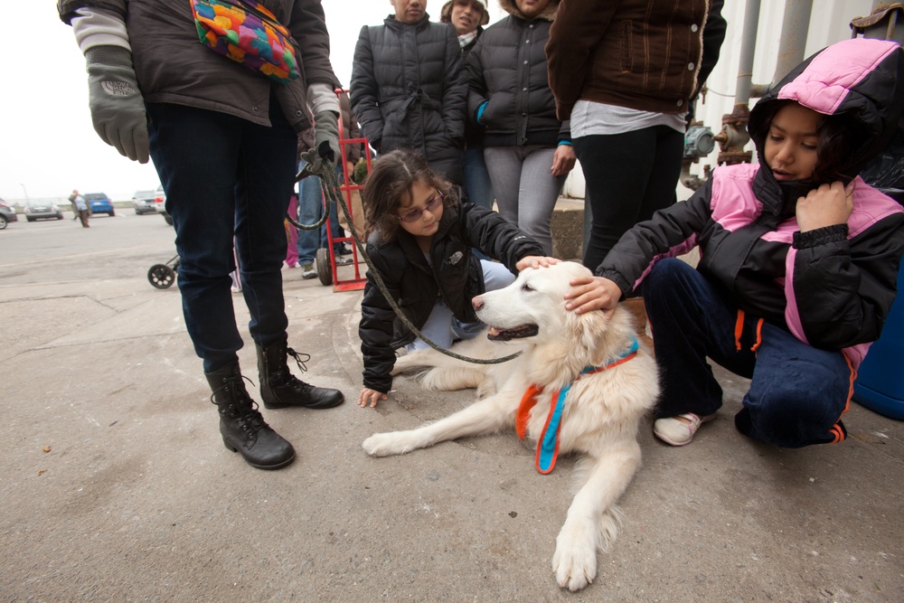 Comfort Dog provides support to a disaster survivor at a FEMA Recovery Center in Long Beach, NY