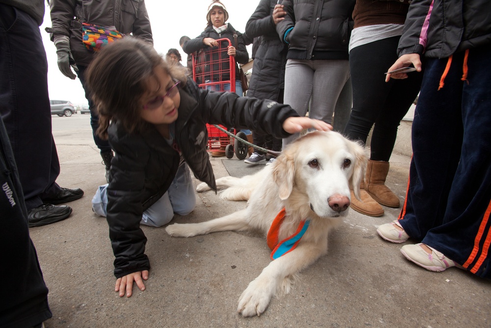 Comfort Dog provides support to a disaster survivor at a FEMA Recovery Center in Long Beach, NY