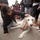 Comfort Dog provides support to a disaster survivor at a FEMA Recovery Center in Long Beach, NY