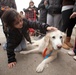 Comfort Dog provides support to a disaster survivor at a FEMA Recovery Center in Long Beach, NY