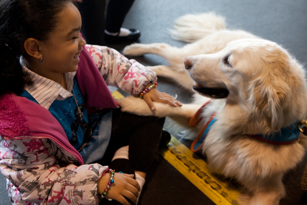 Comfort Dog provides support to a disaster survivor at a FEMA Recovery Center in Long Beach, NY